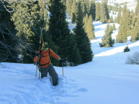 Freeride and backcountry winter