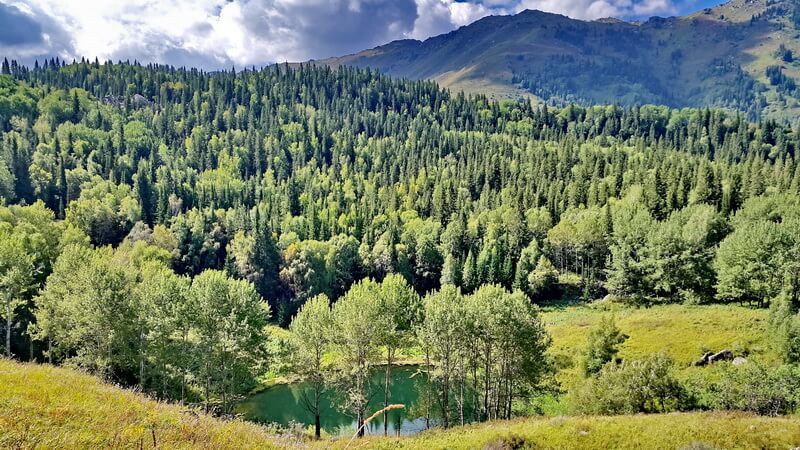 Сарканд казахстан