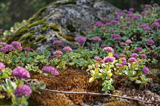 Сексу Тачикски Шабнами Сураео онлайн Орыс аналар секс онлайн видео