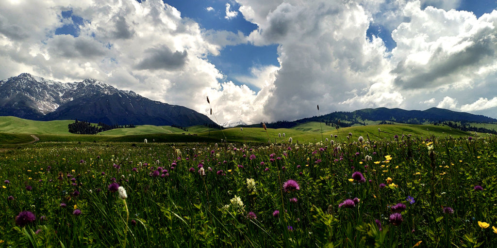 Жапон әйелінің порносын қорлау