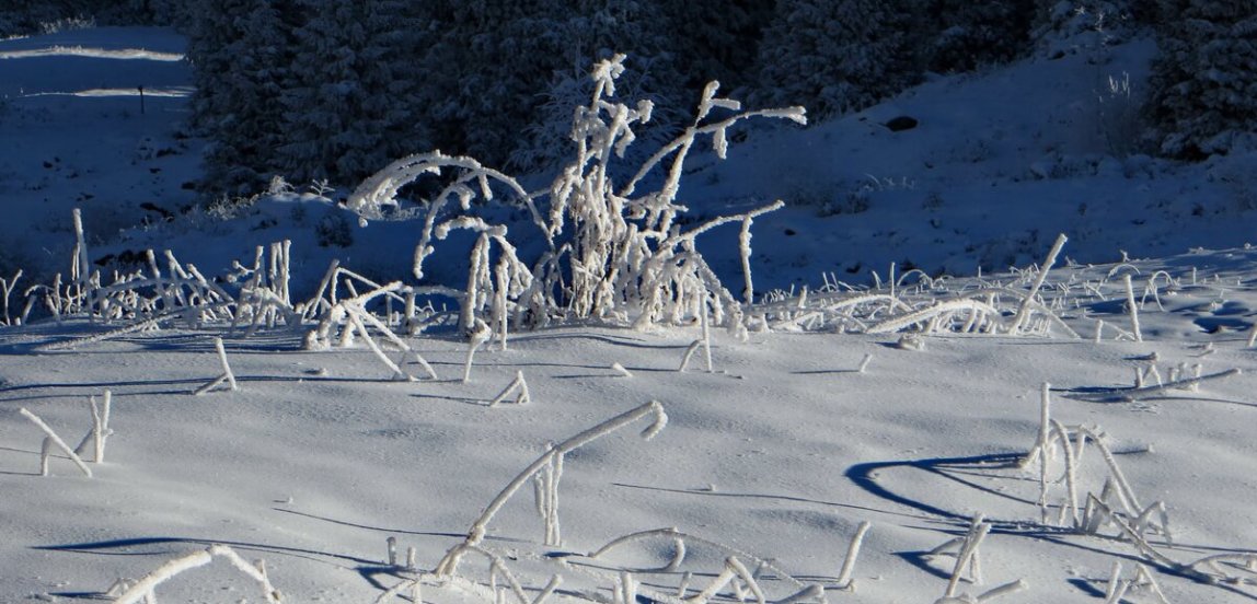 зимний поход алматы, ущелье Кумбельсу зимой