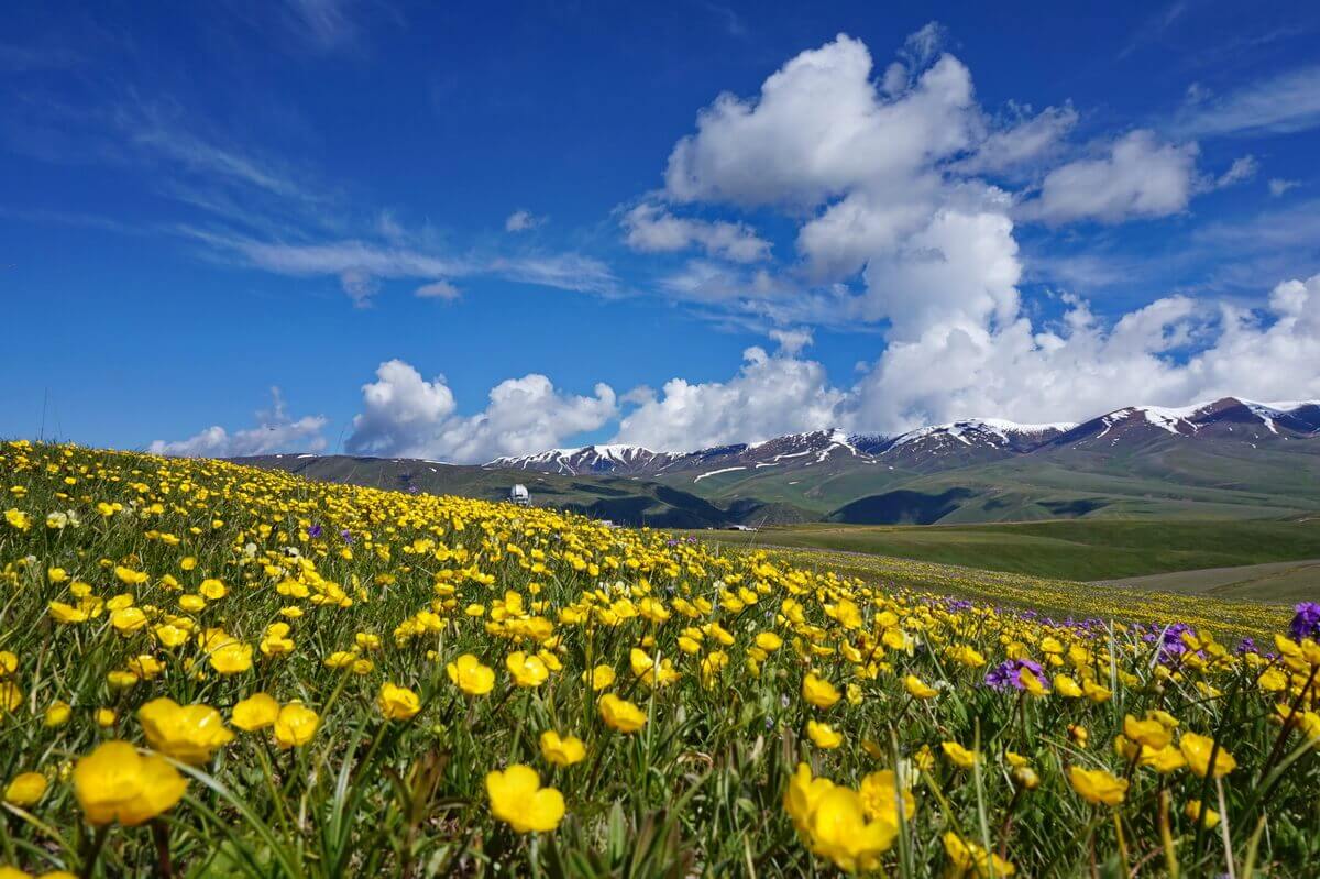 Алматы в апреле фото