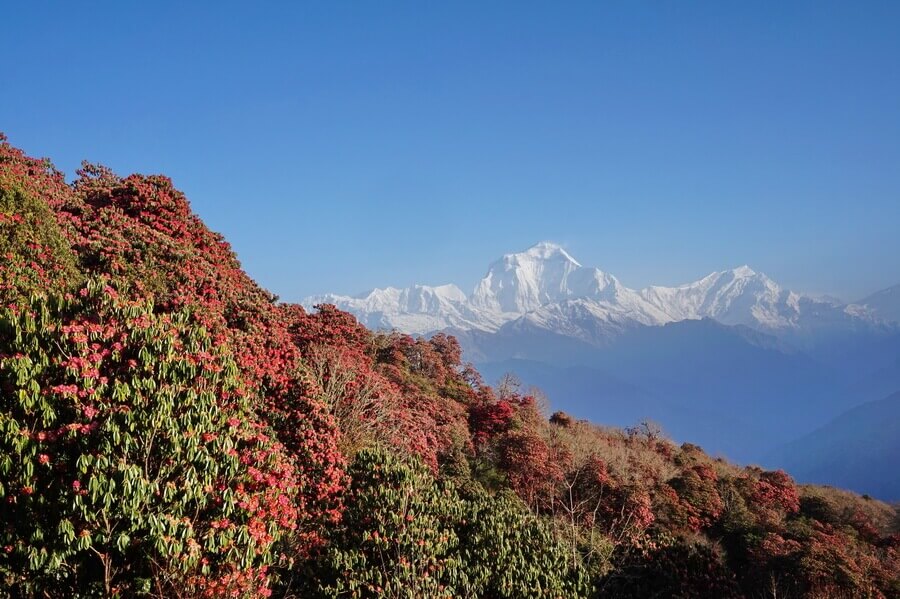 путешествие в Непал, поход на Пун Хилл