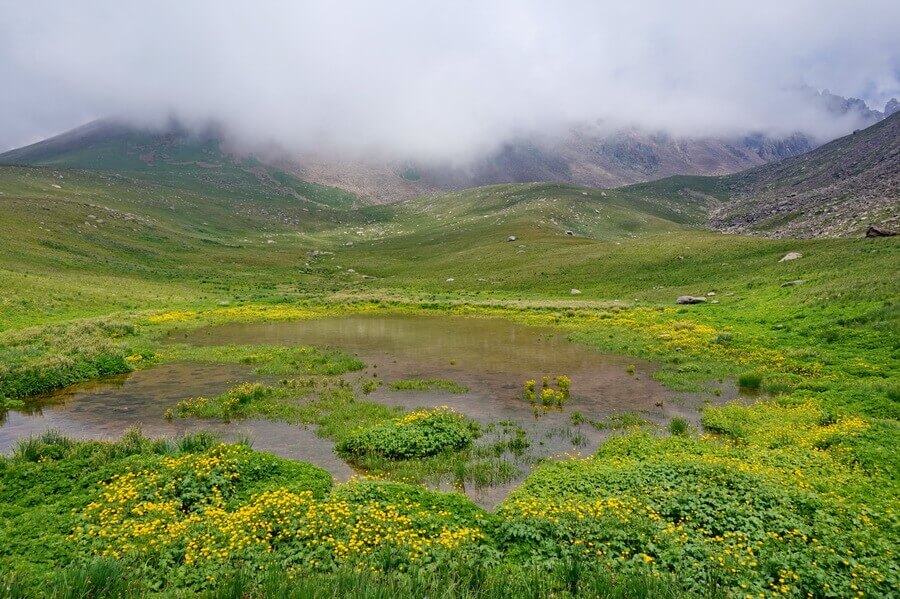 Долина Скифов, Средний Талгар